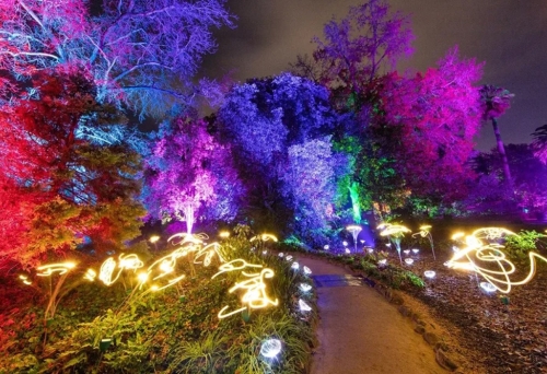 Light garden at Sirromet