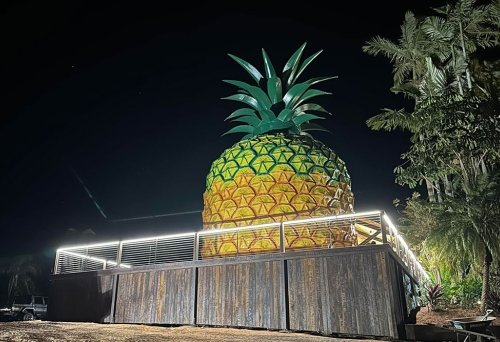 The Big Pineapple Woombye