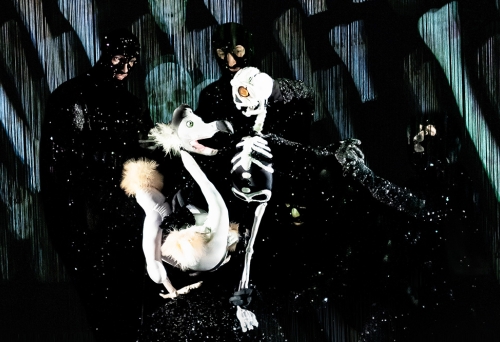 Dead as a Dodo - Brisbane Festival