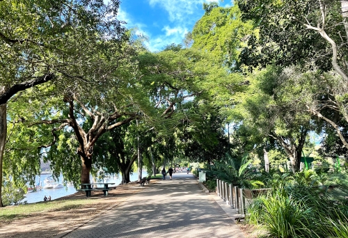 Walk near river inside the Brisbane Botanic Gardens, CBD