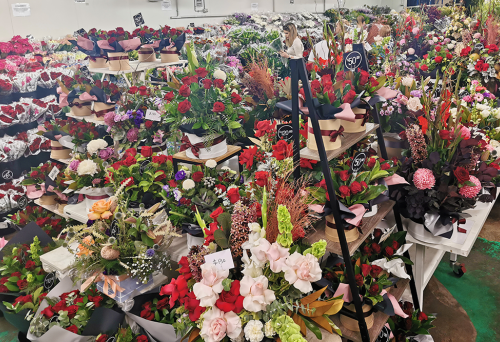 Flowers inside Brisbane Flower Market