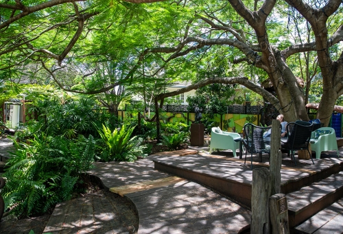 Garden at Civosity Park Bardon