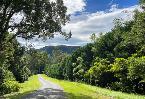 Trips to the Country