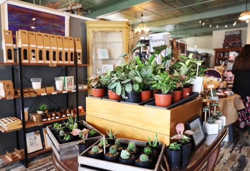 Embers & Twine, Top of Town, Ipswich, Queensland, handmade gifts, plants, homewares, candles, vintage clothing, retro 