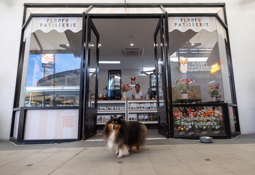 Dog at entrance to Floofy Patisserie 