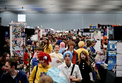 Crowd at Oz Comic-Con 
