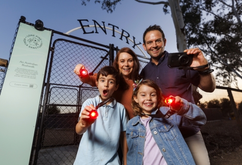 Lone Pine Koala Sanctuary's Nocturnal Tours