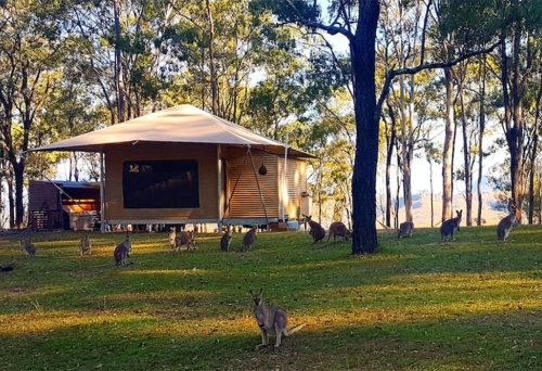 Tent at Ketchup's Bank Glamping Cannon Creek