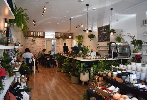 Interior of Little Fox Lane nursery Aspley