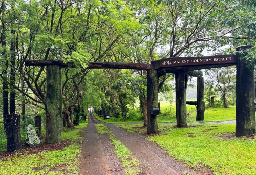 Maleny Country Estate, Reesville