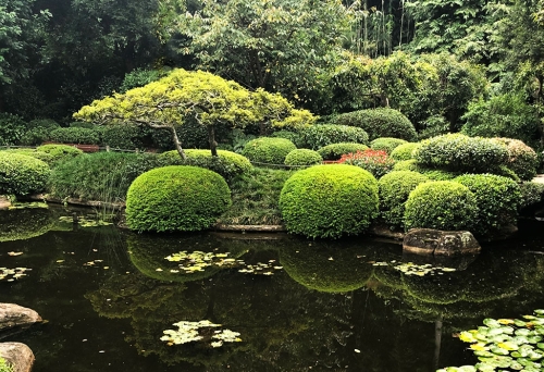 Japanese Gardens, Mt Coot-tha Botanic Gardens, Brisbane