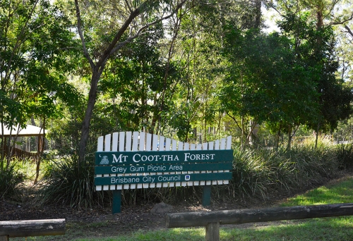 Grey Gum Picnic Area, Mt Coot-Tha, Brisbane, State Forest, bush walks, wheelchair friendly, eucalypt forest