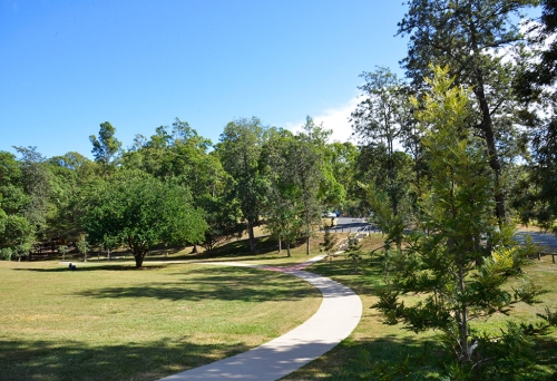 Silky Oak Picnic Area, Mt Coot-Tha, Brisbane, bushwalking, forest, national park reserve
