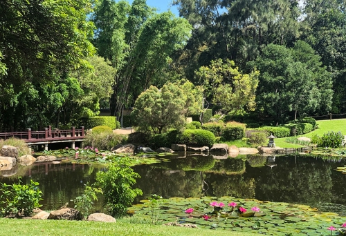 Nerima Gardens Ipswich