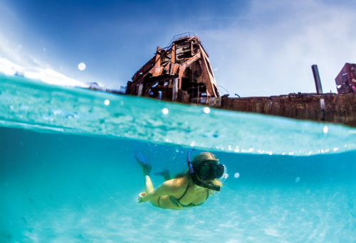 Experience Tangalooma Island Resort Moreton Island 