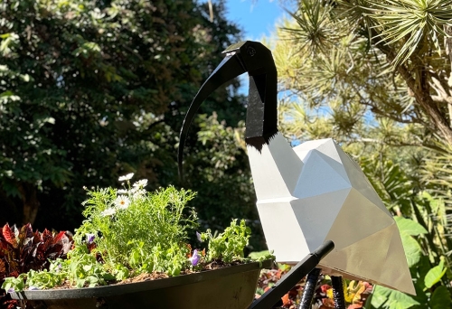 The Bin Chicken Trail, Brisbane, Queensland, white ibis, metal binny art, street art