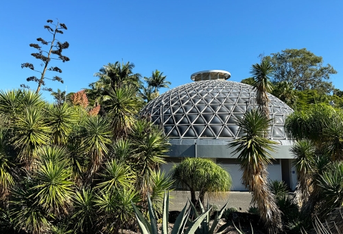 Tropical Display Dome, Brisbane Botanic Gardens Mt Coot-tha, Toowong, subtropical plants, native fish, humid moist gardening, horticulture, Queensland 