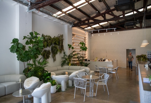 Plants & chairs inside BY. Artisans 