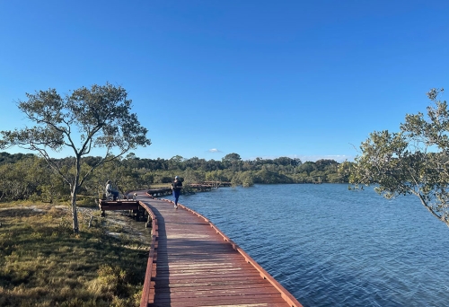 Baree-Badalla Reserve Currumbin