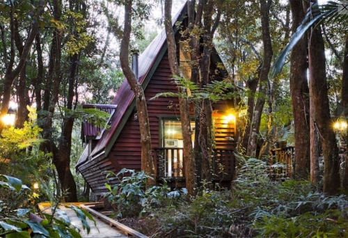 The Mouses House Rainforest Retreat Springbrook National Park