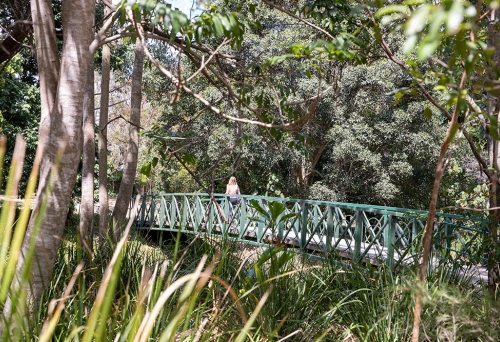 Red Hill Newmarket Walk
