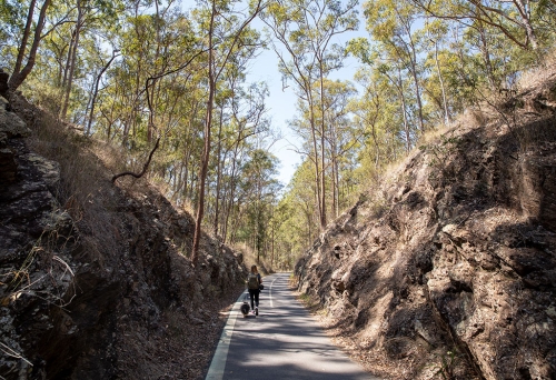 Samford Rail Trail