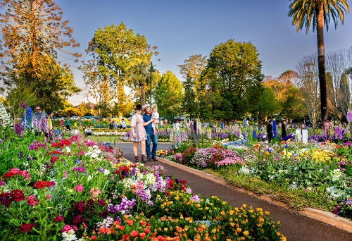 Walking in gardens 