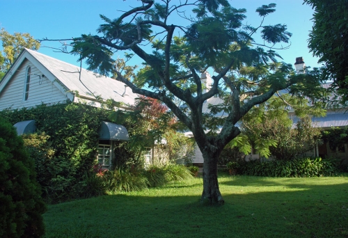 Granite House building and front yard in Ashgrove