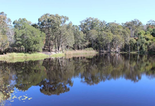 Hemmant Quarry Reserve, Hemmant