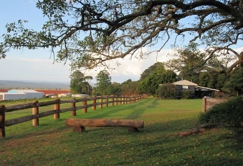 Hillview Cottages B&amp;B 