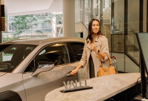Valet Parking with Lexus 