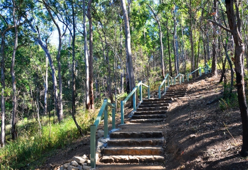 Spotted Gum Trail, Mt Coot-Tha Forest, Brisbane, bushwalking, bushwalkers, eucalypt bushland, Toowong, Queensland