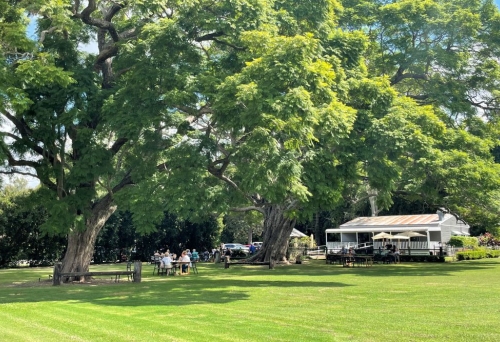 lawn at front of Scenic Rim Farm Gate Shop