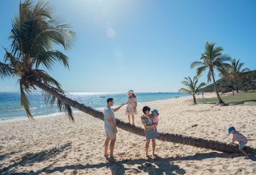 Family on a palm tree at Tangalooma Island