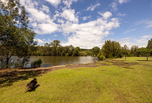 Tallebudgera Off Leash Agility Dog Island