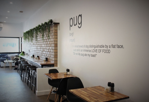 Interior of Little Black Pug Mt Gravatt