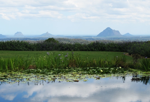 Lake with with the Glasshouse Mountains in the background at Maleny Botanic Gardens & Bird World