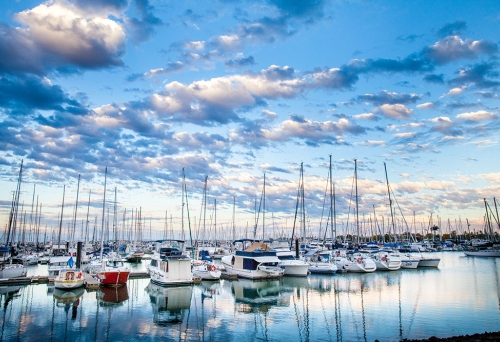 Boats on the water at Manly Marina