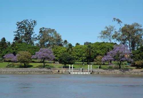 Mowbray Park seen from across Brisbane River 