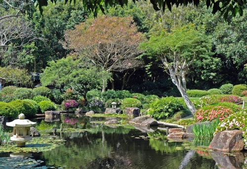 Japanese gardens inside Mt Coot-tha Botanic Gardens in Toowong
