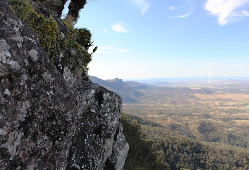 Mt Cordeaux, Cunningham's Gap, Scenic Rim