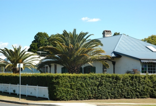 Musgrave House hedge and palms seen from Allpass Pde Shorncliffe  