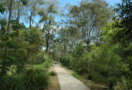 Walking path inside Oakman Park in Toowong 