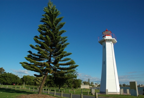 Cleveland lighthouse next to norfolk pine tree.