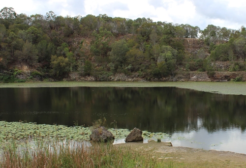 The Old Quarry Daisy Hill is