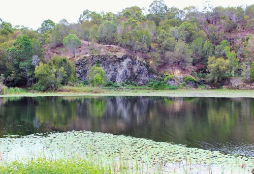 Old Quarry Daisy Hill