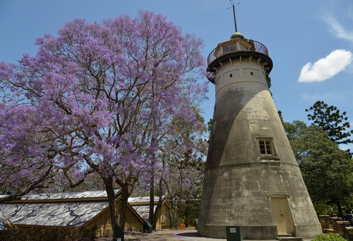 The Old Windmill in Spring Hill