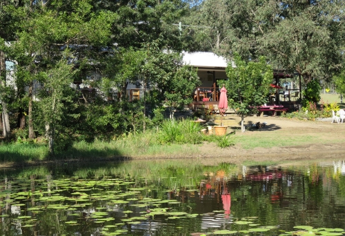 Pond & garden at The Place 2 B Cafe Delaneys Creek