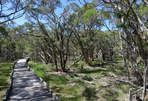 Purga Nature Reserve