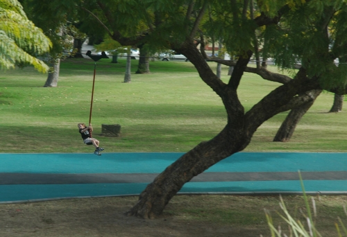 Boy on Flying fox in Queens Park Ipswich.